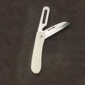 Folding fruit knife